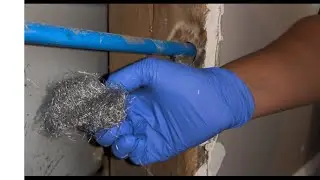 Steel Wool + Silicone = No More Mice | DIY Home Fix That Works