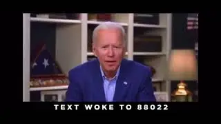 &lsquo;Vote for me or you ain&rsquo;t black&rsquo; -Joe Biden