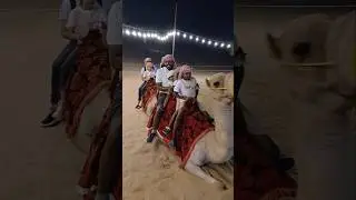 4 kids on the camel ride in the evening dubai desert safari #short #camelrider #cameltrek