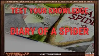 DIARY OF A SPIDER