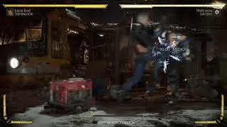 Mortal Kombat 11 The Terminator Final Judgment Variation Combos