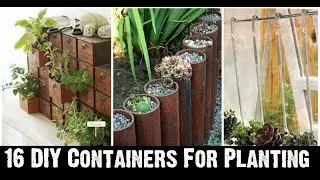 16 DIY Containers For Planting