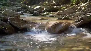 Soothing Ambient Flow for Serenity