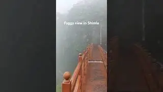 Chaura Maidan Shimla, Himachal🤍 #shimlahills #shimlavlog #shorts