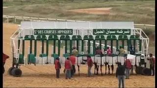 سباقات الخيول العربية الاصيلة يوم 2 ماي 2018 ميدان قصر السعيد تونس