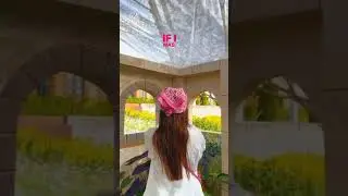 Ashi Khanna's latest reel ❤️ #damnfam #instareels #shorts #viral #ootd #ashikhanna #thailand #trip