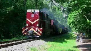 Lxd2-478 Nadmorska Kolej Wąskotorowa Rp1