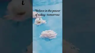 #shorts Motivational Quotes #quotes #motivationalquotes #motivation  #inspirationalquotes #trending