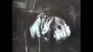 GRAVE NEW WORLD：the last sanctuary(1992.japanese crust hardcore punk )