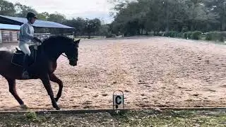 Landen Johnson Habicht Level 1 test 2