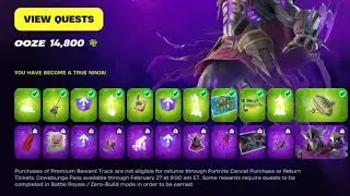 buying the Premium Pass of TMNT