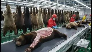 Inside the Bear Leather Factory: How Bear Leather Becomes a $10,000 Luxury Item &ndash; Full Process