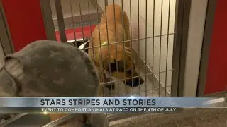 Stars, stripes and stories event to comfort PACC animals on Independence Day
