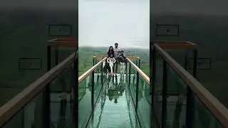 #vagamon ❤️#vaction #family #glassbridge #keralagodsowncountry