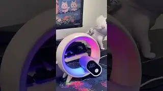 #newelectronic Rgb Desk Table Lamp Light With Wake Up Light Alarm Clock & Wireless Speaker -