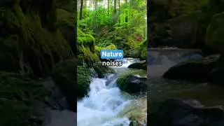 Calming Nature Sound Options That Beat Medication For Anxiety Relief #shorts