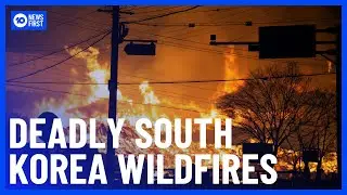 South Korea Wildfires: 24 Dead As Multiple Deadly Fires Continue Burning | 10 News First