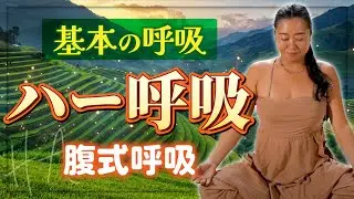 基本の呼吸法 |  腹式呼吸・ハー呼吸 | Chakra Work | チャクラワーク
