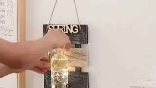 Wall Mounted Hydroponic Vase With Wire