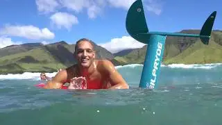 NeilPryde Glide SURF 2019
