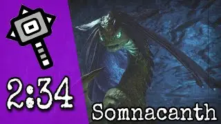 Somnacanth | 2'34