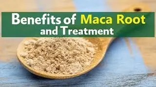 Benefits of Maca Root and Treatment