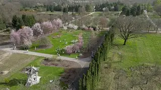 Polish Academy of Sciences Botanical Garden in Powsin in early spring