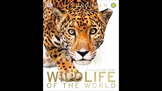 A visual review of Smithsonian Wildlife Of The World