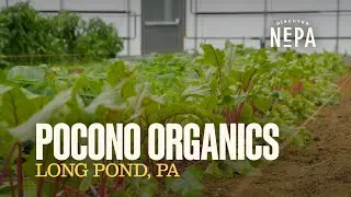 Pocono Organics | Long Pond, PA