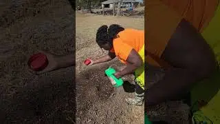 Planting Collard Greens & Cabbage in Texas Fall 🌿 | Easy Step-by-Step Garden Guid