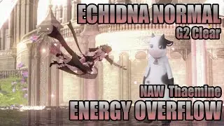 [Lost Ark] Echidna Normal G2 Clear | EO Soulfist | NAW Thaemine Server