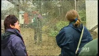 Exakt -  Animal Hoarding Teil2