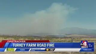 Turkey farm road fire 10pm pkg