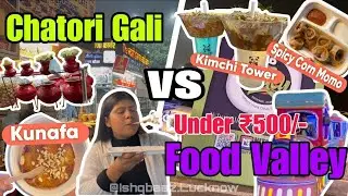 Lucknow Chatori Gali Vs Food Valley | Food Valley Lucknow | 1090 Chatori Gali | Kon Hai Best | UP32
