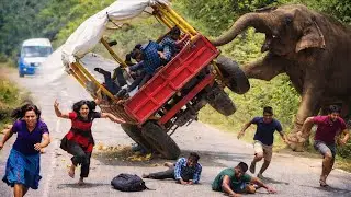 Angry Elephant Charges Tractor | Most Dangerous Road Encounter😱#elephantattack 