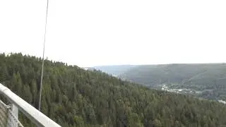 Walk On The WildLine Suspension Bridge, Black Forest, Germany