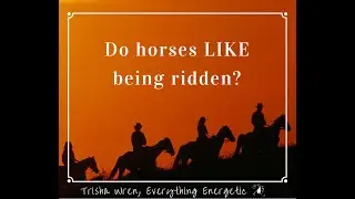 Animal Communication - do horses like being ridden?