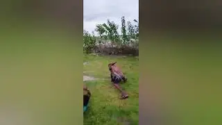 photo shooting spot vera level extreme phose