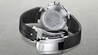 Oris Limited Editions: Staghorn Restoration & Hammerhead: World Ocean Day (2017)