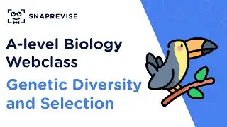 A-level Biology Sunday Sessions: Genetic Diversity and Selection | Revision Webclass
