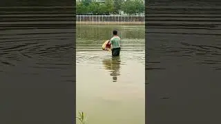 Видео рыбаков, занимающихся рыбалкой #рыбалка #сетка #ручнаярыбалка #длятебя