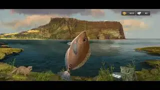 Fishing Clash 13012046