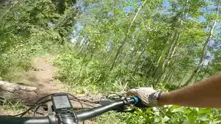 Jones Ranch/Blackhawk 2024-06-24