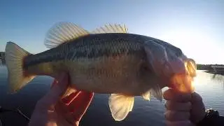 Kentucky Lake Bass Fishing in November