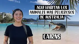 Cosas BUENAS y MALAS de CAIRNS - LA VERDAD 😳