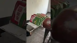 Efficient tools for carrying goods upstairs #reel #style #love #fyp #lifestyle  #cute #art #nature