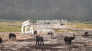 Sangha Lodge and Conservation in Central African Republic by Rod Cassidy