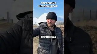 ❗️❗️ ПО ВОПРОСАМ И ЦЕНЕ:+375296011066 все мессенджеры!