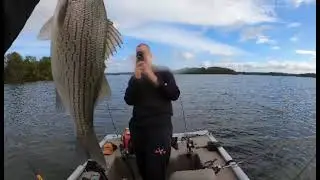 Catching Hybrid Striped Bass on Planer Boards With Kevin Glenn and Max Wilson