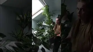 I have a houseplant addiction 😩🤣